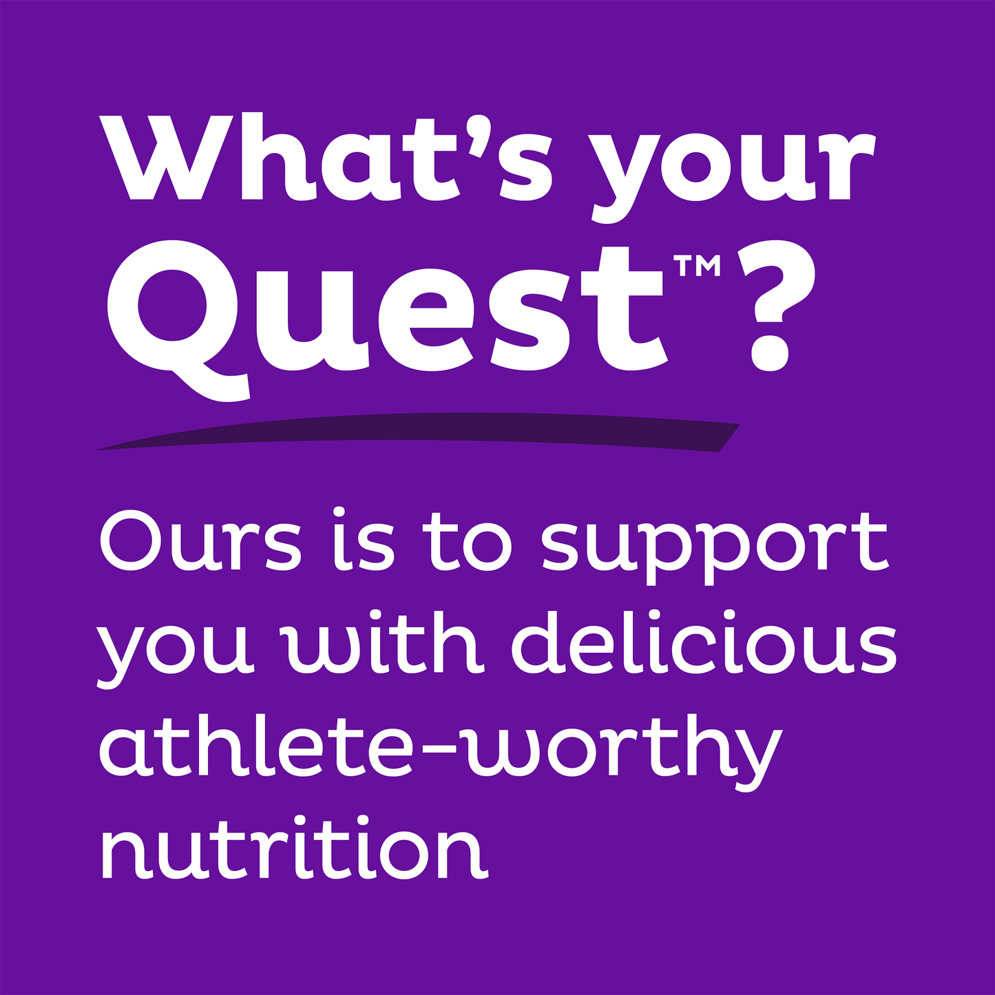 double-chocolate-chunk-protein-bars-l4 qst-000241_double-chocolate-chunk-protein-bars_9.png